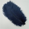 XUNCHUNG 10pcs / Plumes dautruche colorées de lot, Plumes dautruche for tablettes de Table Carnival Plumas décor, Artisanat