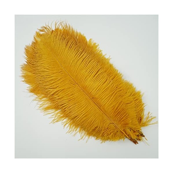 XUNCHUNG 10pcs / Plumes dautruche colorées de lot, Plumes dautruche for tablettes de Table Carnival Plumas décor, Artisanat