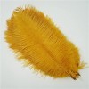 XUNCHUNG 10pcs / Plumes dautruche colorées de lot, Plumes dautruche for tablettes de Table Carnival Plumas décor, Artisanat