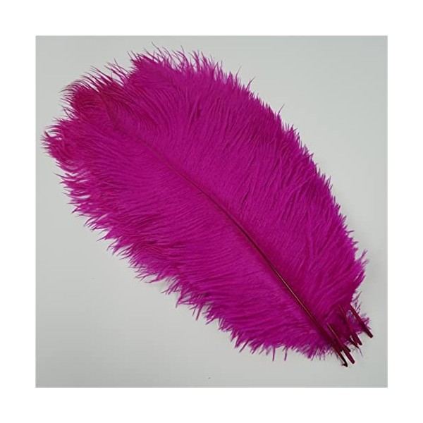 XUNCHUNG 10pcs / Plumes dautruche colorées de lot, Plumes dautruche for tablettes de Table Carnival Plumas décor, Artisanat