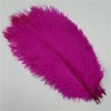 XUNCHUNG 10pcs / Plumes dautruche colorées de lot, Plumes dautruche for tablettes de Table Carnival Plumas décor, Artisanat