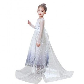 Filles Elsa 2 Robe Princesse Costume Glace Reine des Neiges Déguisement Flocon de Neige Tulle Robe Accessoires Tenues Enfants