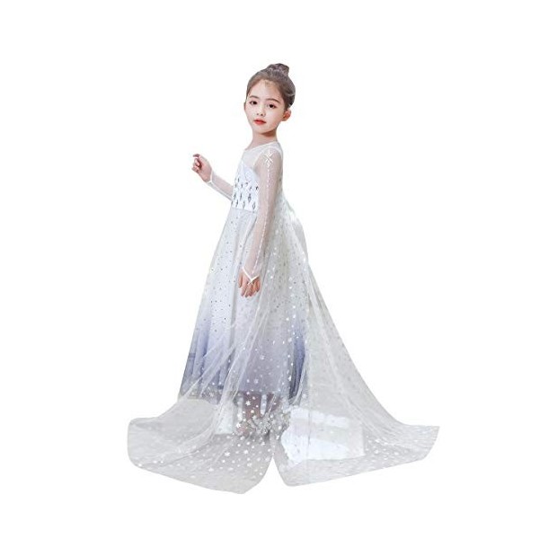 Filles Elsa 2 Robe Princesse Costume Glace Reine des Neiges Déguisement Flocon de Neige Tulle Robe Accessoires Tenues Enfants