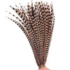 QUALITY COTTON HOUSE Plumes de Faisan Amherst Naturelles for décor daccessoires de Carnaval dartisanat Boas Frather Color 