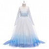 Filles Elsa 2 Robe Princesse Costume Glace Reine des Neiges Déguisement Flocon de Neige Tulle Robe Accessoires Tenues Enfants