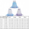 Filles Elsa 2 Robe Princesse Costume Glace Reine des Neiges Déguisement Flocon de Neige Tulle Robe Accessoires Tenues Enfants