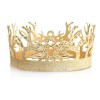 nihngvjm Couronne Antlers Roi médiéval déguisement Accessoire de déguisement dhalloween for Bal de Promo fête danniversaire