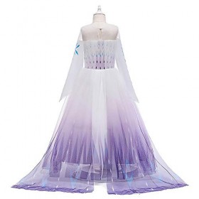 Filles Elsa 2 Robe Princesse Costume Glace Reine des Neiges Déguisement Flocon de Neige Tulle Robe Accessoires Tenues Enfants