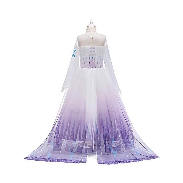 Filles Elsa 2 Robe Princesse Costume Glace Reine des Neiges Déguisement Flocon de Neige Tulle Robe Accessoires Tenues Enfants