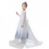 Filles Elsa 2 Robe Princesse Costume Glace Reine des Neiges Déguisement Flocon de Neige Tulle Robe Accessoires Tenues Enfants