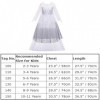 Filles Elsa 2 Robe Princesse Costume Glace Reine des Neiges Déguisement Flocon de Neige Tulle Robe Accessoires Tenues Enfants