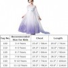 Filles Elsa 2 Robe Princesse Costume Glace Reine des Neiges Déguisement Flocon de Neige Tulle Robe Accessoires Tenues Enfants