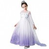 Filles Elsa 2 Robe Princesse Costume Glace Reine des Neiges Déguisement Flocon de Neige Tulle Robe Accessoires Tenues Enfants