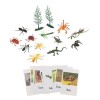 F Fityle Figurines danimaux Montessori avec, matériel éducatif, Jeu de Correspondance pour Les Sciences, Aide à lenseigneme