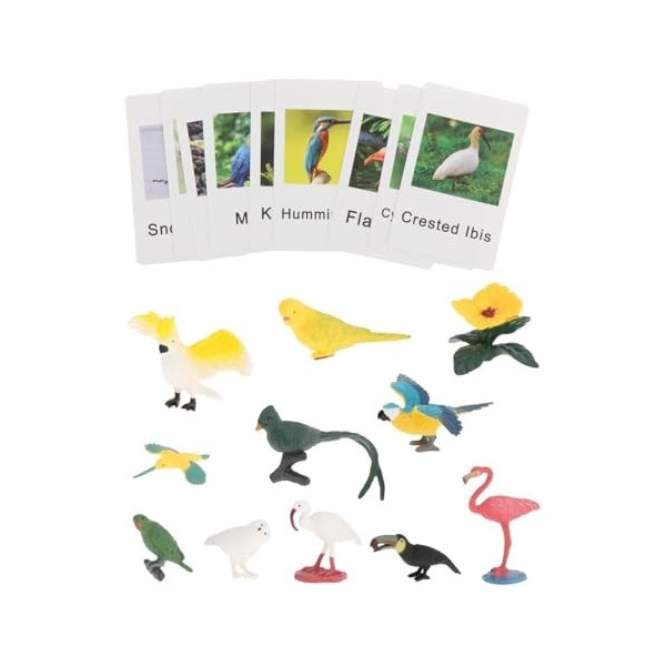 F Fityle Figurines danimaux Montessori avec, matériel éducatif, Jeu de Correspondance pour Les Sciences, Aide à lenseigneme