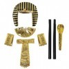 ranrann Accessoires de Costume Égyptien Pharaon Cléopâtre Adulte Cosplay Costume Coiffe Sceptre Serpent Faux Col Bras Manches