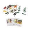 perfk Jouet Assorti danimaux Montessori, Figurines danimaux, Jouets dapprentissage, Ensemble de Jeu Miniature, Jouets de t