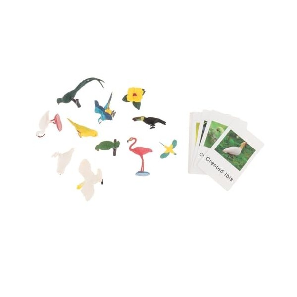 perfk Jouet Assorti danimaux Montessori, Figurines danimaux, Jouets dapprentissage, Ensemble de Jeu Miniature, Jouets de t