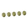 Toyvian Provisions 5 Pcs Portable Carapace De Tortue Costume De Tortue Pour Tout-Petits Costume De Tortue Adulte Habiller Enf