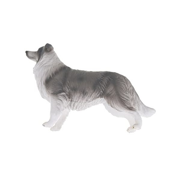 Toyvian Jouet Modèle Border Collie Chiot Réaliste Modèles danimaux Mignons Figures Animales Éducatives Ensemble De Jeu pour 