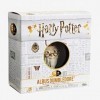 Funko 5 Star: Harry Potter: Albus Dumbledore - Figurine en Vinyle à Collectionner - Idée de Cadeau - Produits Officiels - Jou