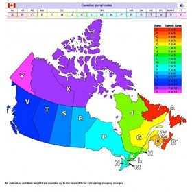 Accessoires de déguisement - Gants Batman The Dark Knight - Tissu et imitation cuir - Pour adulte