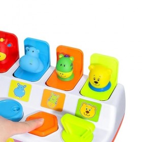 Amagogo Jouets de tri des Couleurs et des Animaux, Jouets sensoriels, Jouets de Voyage Portables, Ensemble de Jeu dapprentis