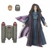 Hasbro Marvel Legends Series, Figurine articulée de Collection Agatha Harkness de 15 cm de WandaVision