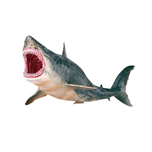 Requin Modèle Jouet Simulation Megalodon Collection De Jouets danimaux Miniatures Figurine Marine Modèle Animal Ornements po