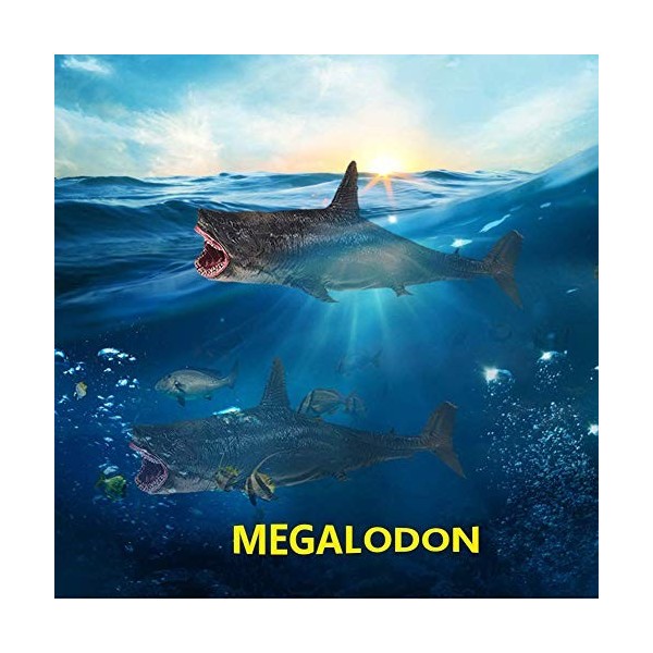 Requin Modèle Jouet Simulation Megalodon Collection De Jouets danimaux Miniatures Figurine Marine Modèle Animal Ornements po