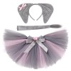 IDOPIP Déguisement Zèbre Enfants, Costume Zèbre pour Fille 3 pièces set, Animaux Enfant Tutu Jupe avec Bandeau doreilles Que