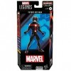 Marvel Hasbro Legends Series, Figurine articulée de Collection Future Ant-Man de 15 cm des Bandes dessinées