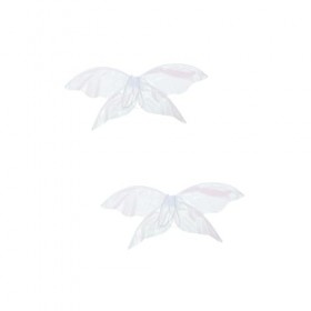 Gadpiparty 2 Pièces Ailes De Cigale Ailes De Vêtements pour Filles Habiller Princesse Aile De Fée Ornements dhalloween Costu