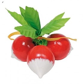 Goki - 2040775 - Jeu Dimitation - Commerçant - Radis - Légumes Caisse