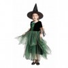 Licus Costume de sorcière dHalloween pour filles - Jeu de rôle - Déguisement de conte de fées - Vert - 4 à 6 ans