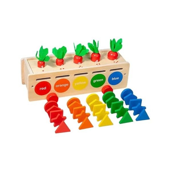 F Fityle Jouets Montessori, Jouet éducatif dapprentissage précoce, Cadeau dapprentissage avec boîte de Rangement, Blocs géo