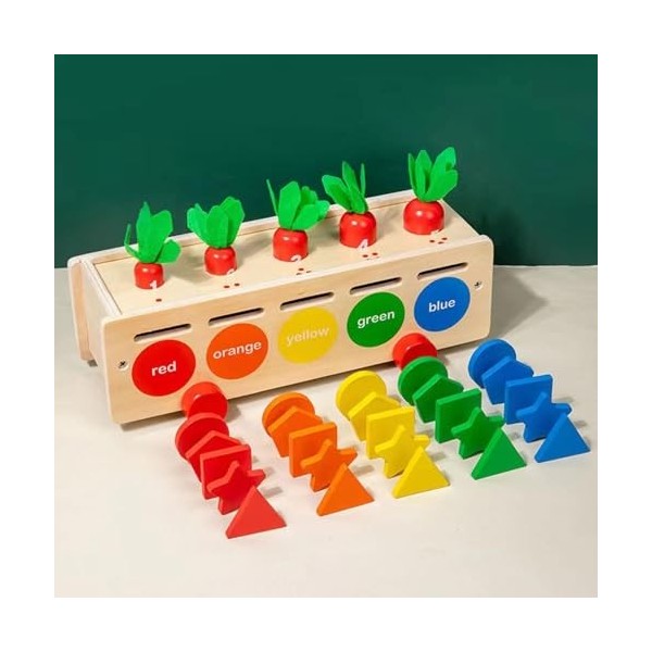 F Fityle Jouets Montessori, Jouet éducatif dapprentissage précoce, Cadeau dapprentissage avec boîte de Rangement, Blocs géo