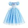 Déguisement de Princesse Cendrillon pour Fille Enfants Cinderella Princesse Costume Halloween Carnaval Cosplay Noël Soirée Cé