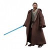 Star Wars The Black Series, Obi-Wan Kenobi Jedi Errant , Figurine de 15 cm, Obi-Wan Kenobi, dès 4 Ans