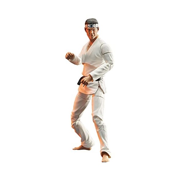 Diamond Select - Cobra Kai Series 1 Daniel Af