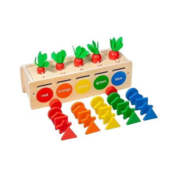 Harilla Blocs géométriques Assortis, boîte de tri de Forme de Couleur en Bois, Cadeaux de Jeu, Jouets Montessori, Jeu de de C