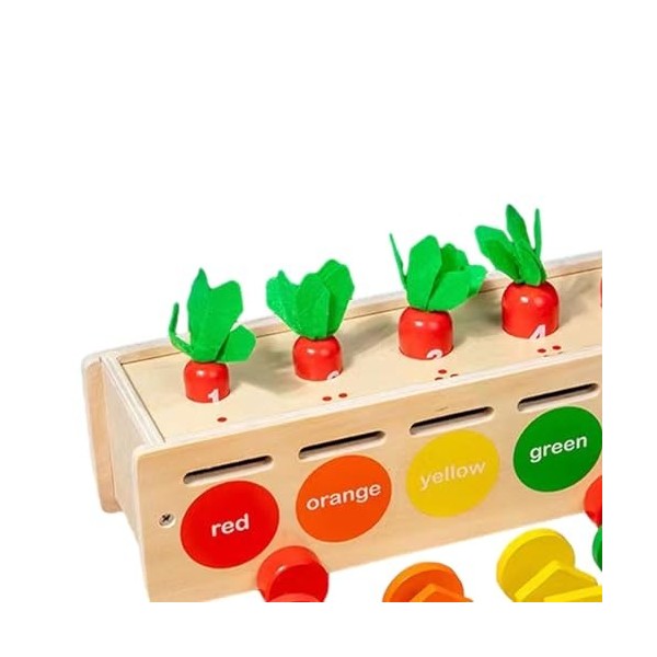 Harilla Blocs géométriques Assortis, boîte de tri de Forme de Couleur en Bois, Cadeaux de Jeu, Jouets Montessori, Jeu de de C