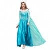 Femme Déguisements Princesse Elsa Cendrillon Robe Adulte Costume de Elsa Cinderella Anniversaire Noël Halloween Carnaval Cosp