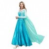 Femme Déguisements Princesse Elsa Cendrillon Robe Adulte Costume de Elsa Cinderella Anniversaire Noël Halloween Carnaval Cosp