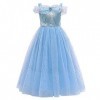 Filles Cendrillon Robe Déguisement Enfants Cinderella Princesse Costume Halloween Partie Carnaval Cosplay Noël Soirée Cérémon