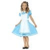 Wonderland Princess Costume L 