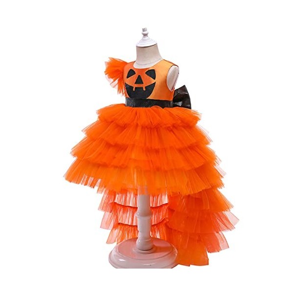 Xiaojiu DéGuisement Enfant Fille Déguisement Petit Prince,Deguisement Halloween Enfant 2 Ans Robe De Chambre Fille 10 Ans Dég