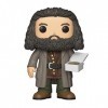 Funko Pop! HP: - 6" Rubeus Hagrid with Cake - Harry Potter - Figurine en Vinyle à Collectionner - Idée de Cadeau - Produits O