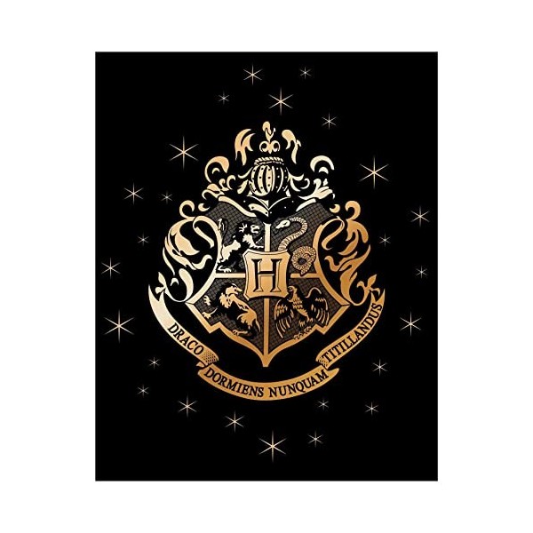 SaoTi Couverture Coralina Harry Potter 120 x 150 cm, bouclier, personnages, différents modèles et couleurs bouclier fond rou