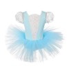 Lito Angels Robe de Ballet Princesse Cendrillon pour Enfant Fille, Costume de Tutu Danse Ballerine, Justaucorps avec Jupe, Ta